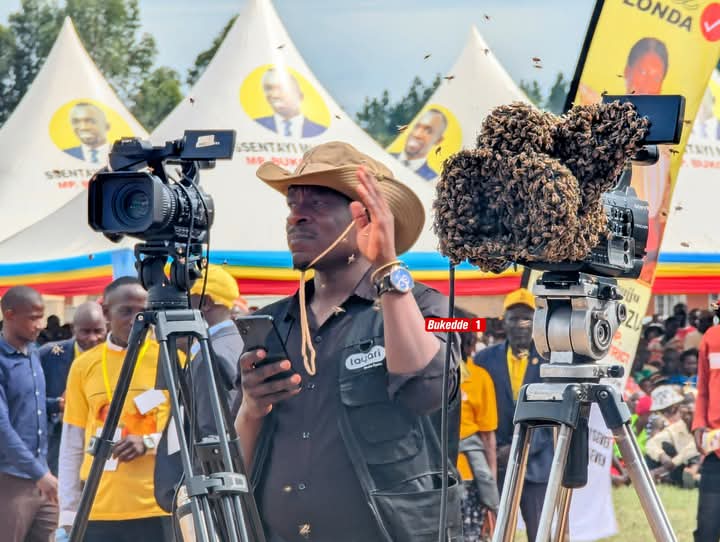 Panic as swarm of bees interrupt drive to review Museveni’s support in Buganda Region