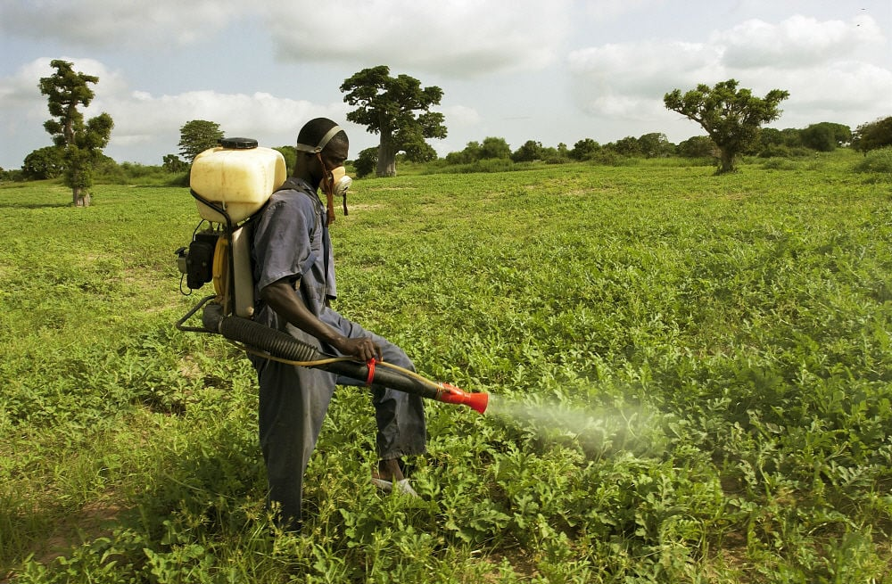 Govt to release report on 14 EU banned pesticides