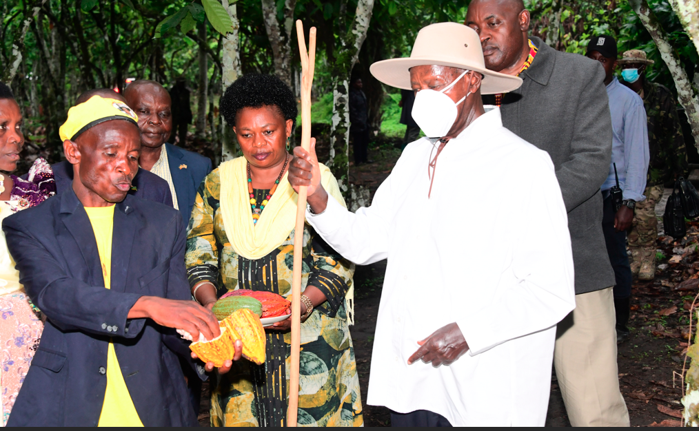Museveni applauds Bundibugyo residents priotising profitable Agric enterprises
