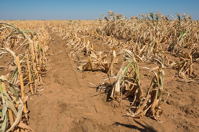 Prepare for dry season in June, July, August–Weather man